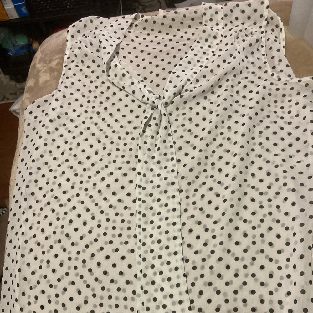 Ann Taylor Loft sheer sleeveless pre owned